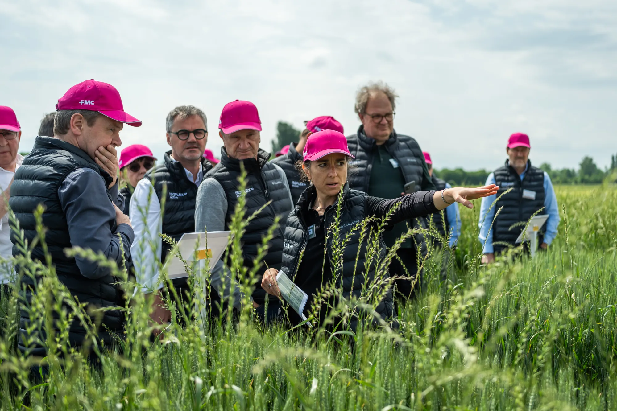 Photographe événementiel d'entreprise en Alsace — Colmar
